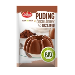 Amylon Pudink BIO čokoládový 40g