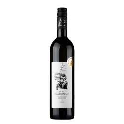 Víno bílé Chardonnay ročník 2020 - pozdní sběr (suché) 750 ml BIO DRMOLA
